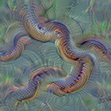 n01737021 water snake